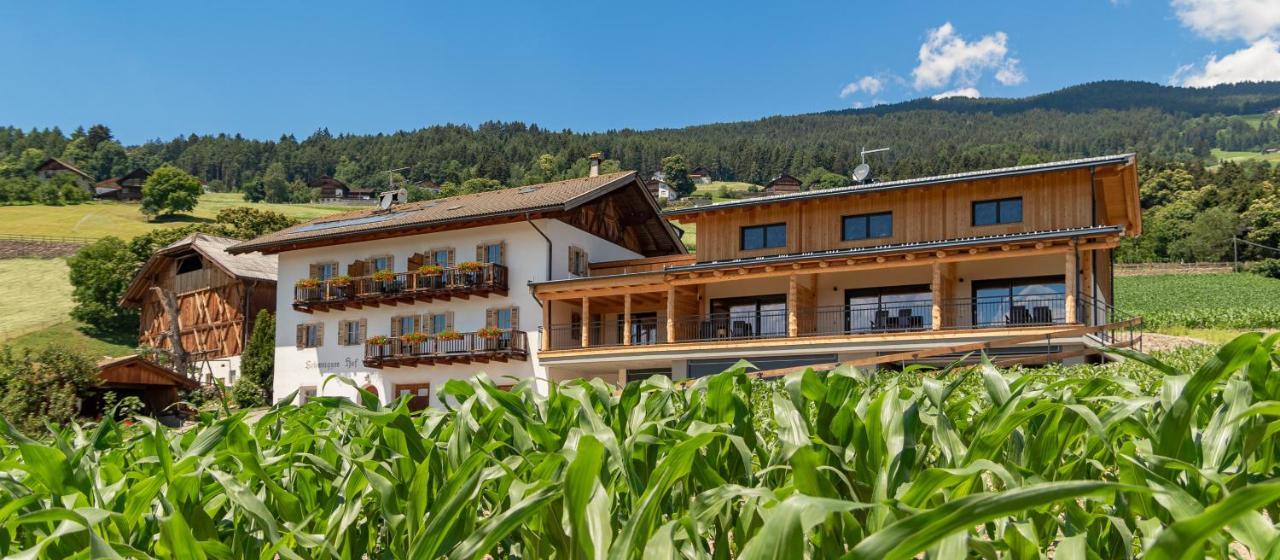 Schweiggerhof Apartment Villanders